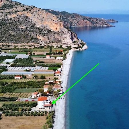 Thassa Beach Apartment No1 Leonídion Dış mekan fotoğraf