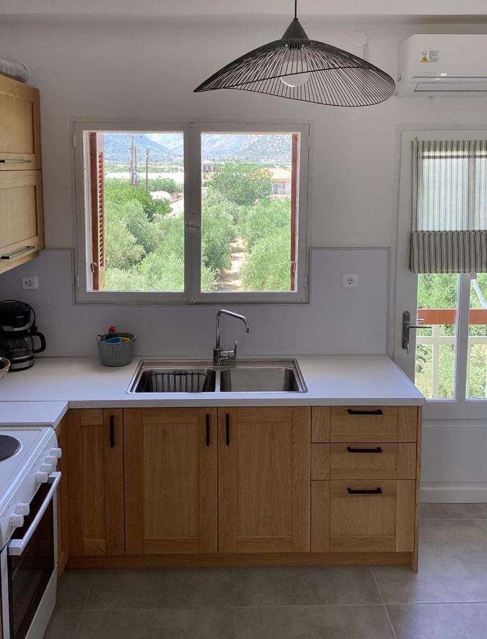 Thassa Beach Apartment No1 Leonídion Dış mekan fotoğraf