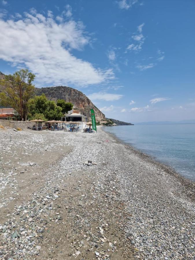 Thassa Beach Apartment No1 Leonídion Dış mekan fotoğraf