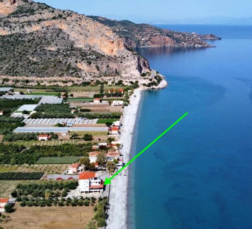 Thassa Beach Apartment No1 Leonídion Dış mekan fotoğraf